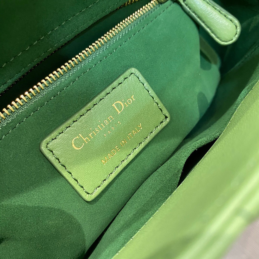 small lady D*or bag 8 x 6.5 x 3 inches