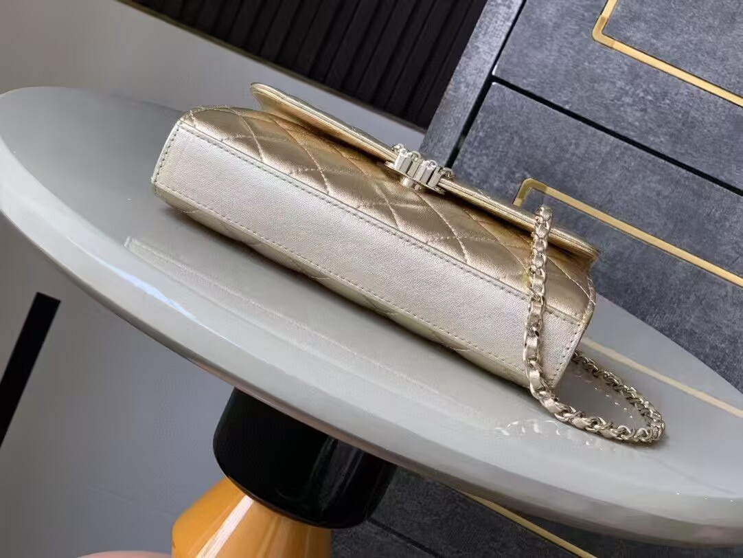 Ch*el kelly 23p 19x10x4.5cm