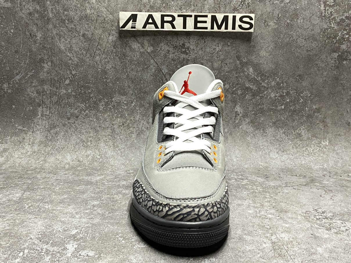 Air Jordan 3 Retro Cool Grey 2021
